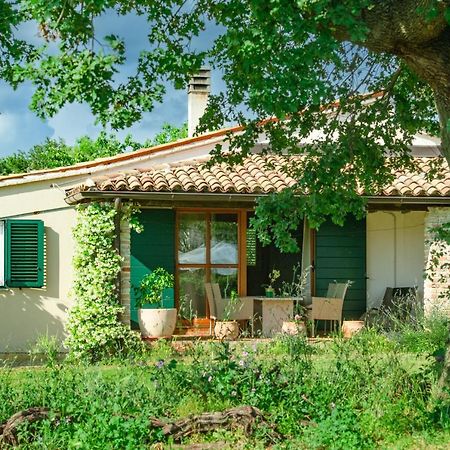 House Boris Daire Loborika Dış mekan fotoğraf