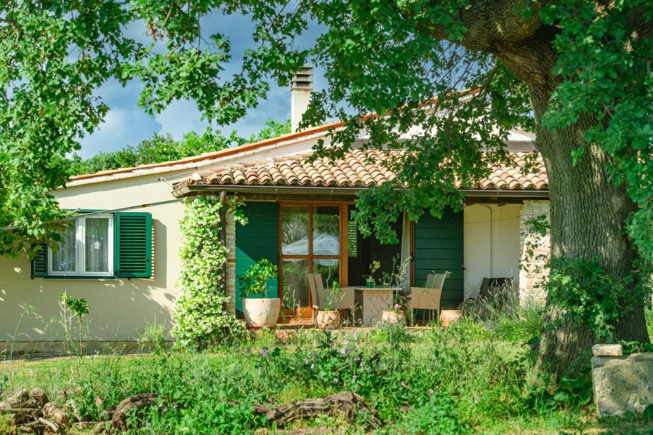 House Boris Daire Loborika Dış mekan fotoğraf